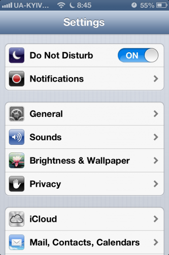 как включить функцию Do Not Disturb на iPhone