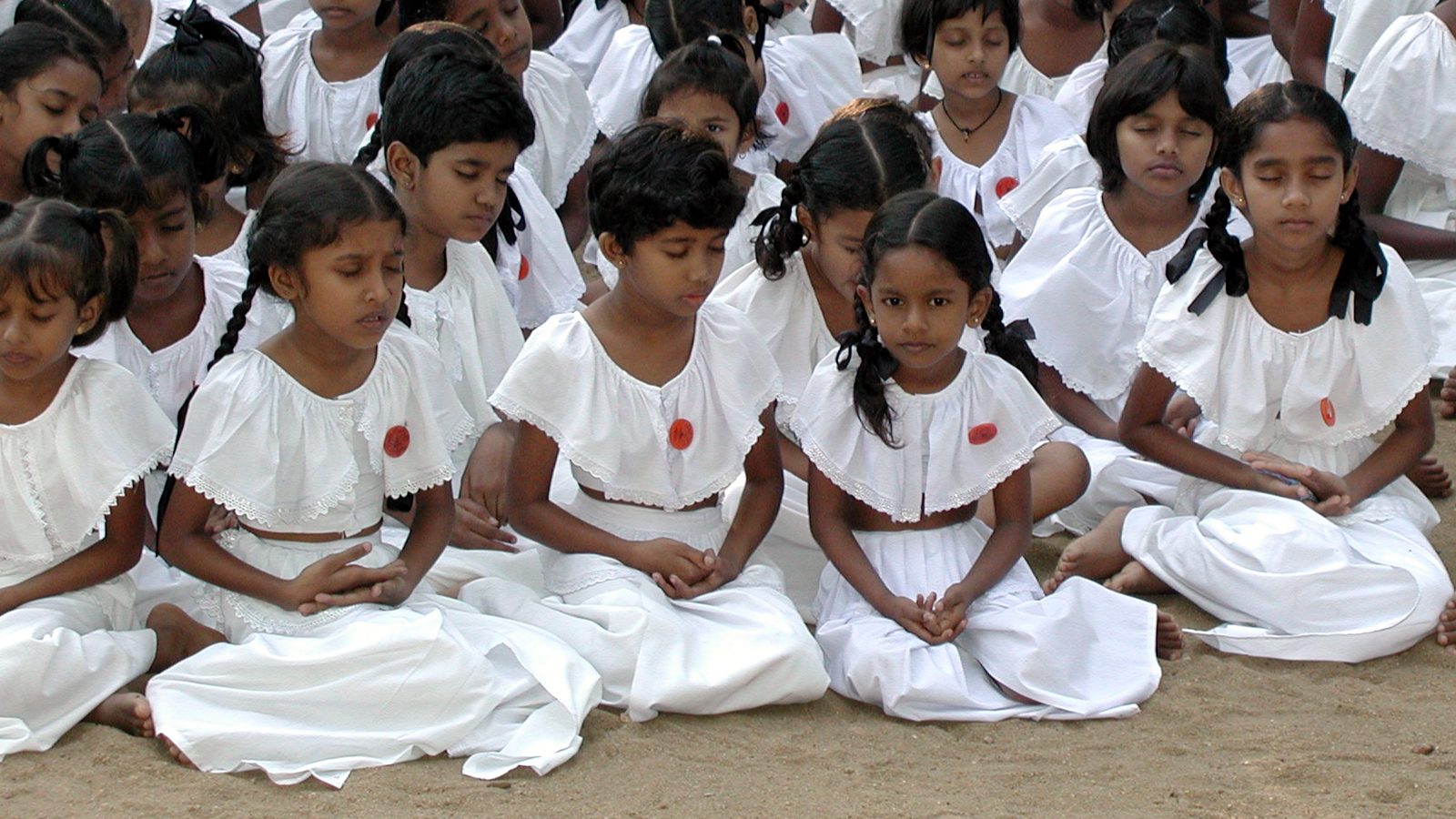 Sri lankan niliyo