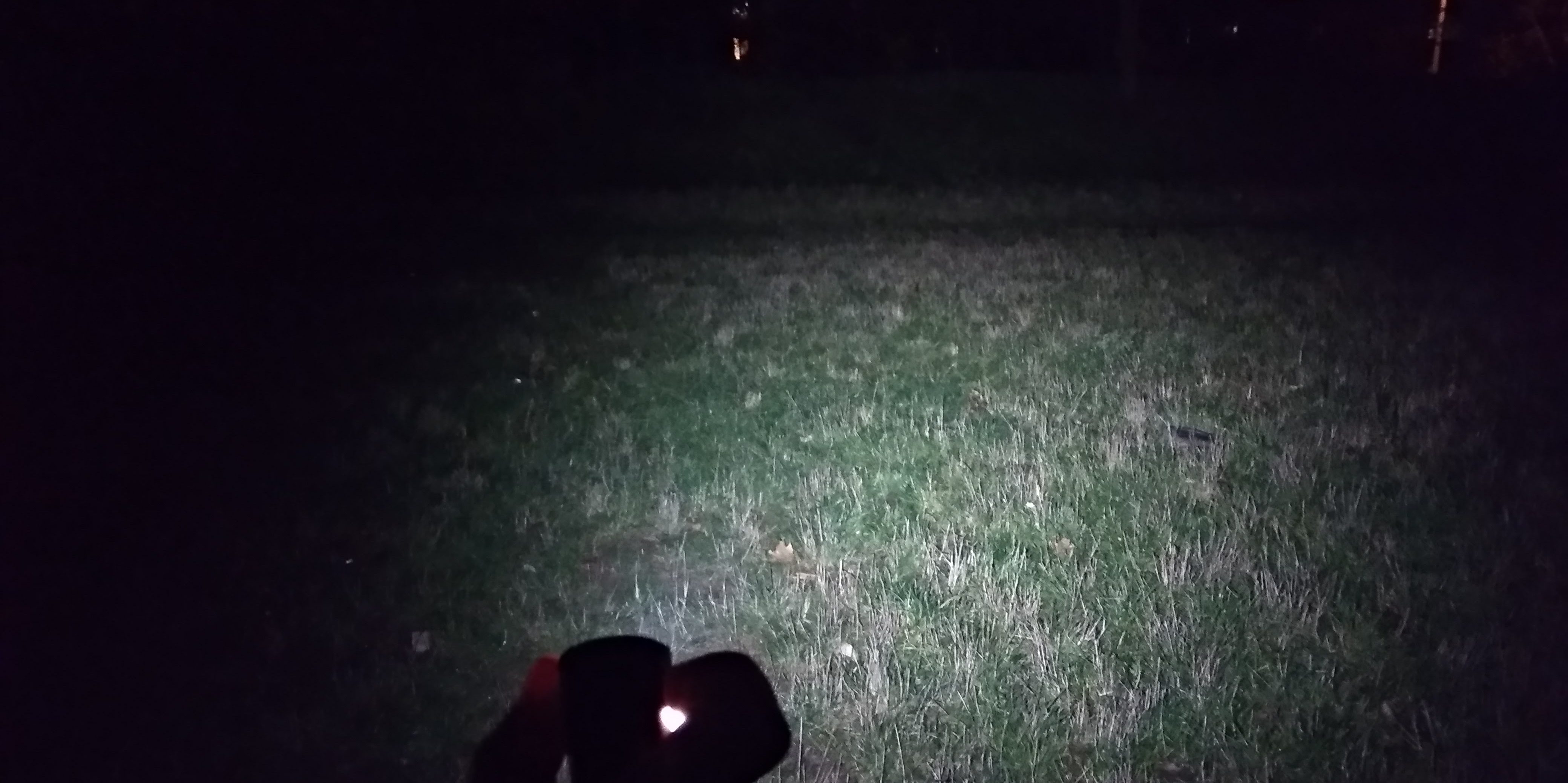 Свет фонарика в темноте в лесу