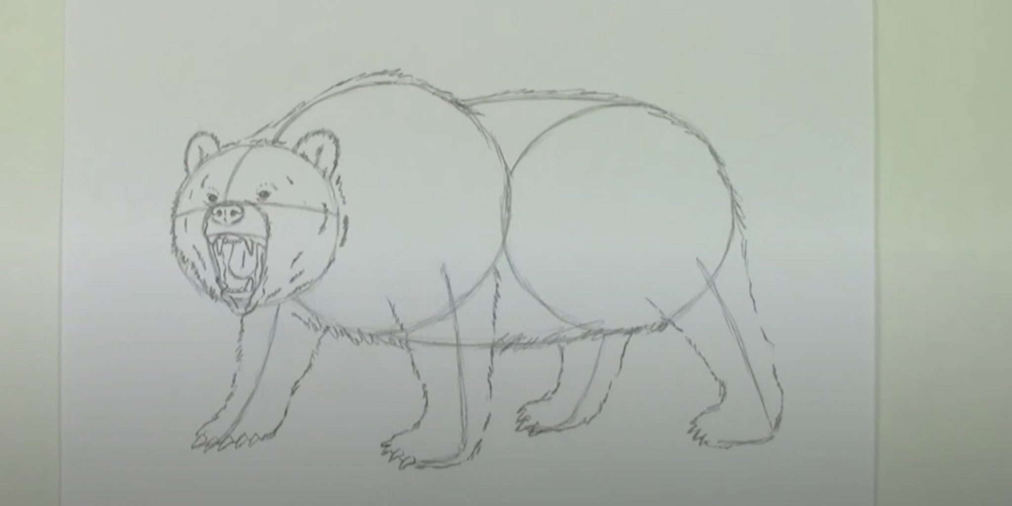 Грозный медведь нарисованный