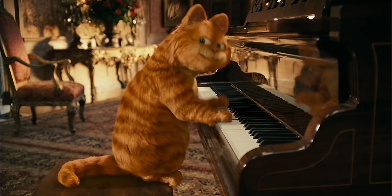 В США создали «оземпик» для кошек — за 6 месяцев он возвращает стройную фигуру