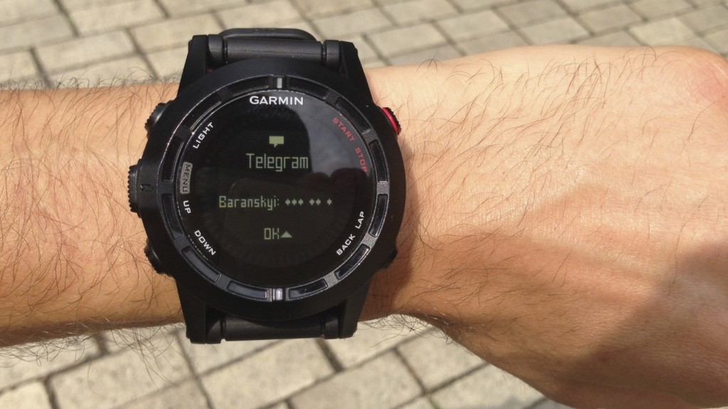 Garmin Fenix 2 Smart Watch 3