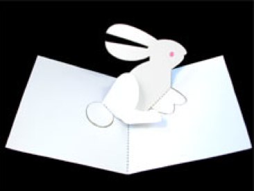 rabbit pop-up card