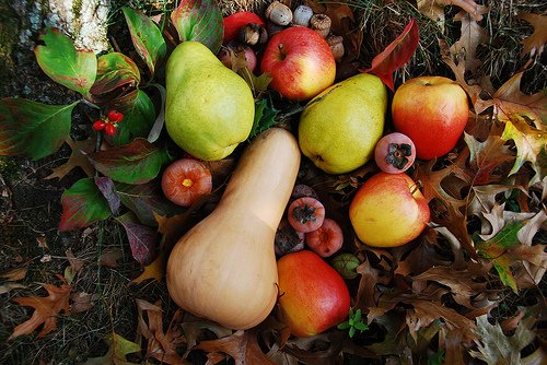 Как правильно хранить осенние фрукты