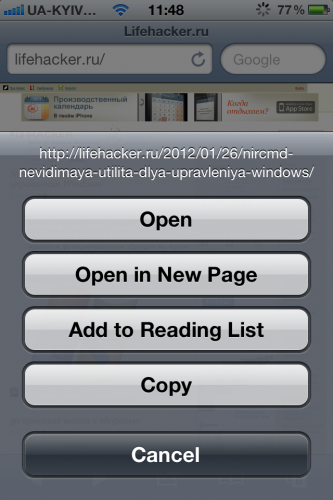 список опций в браузере iPhone
