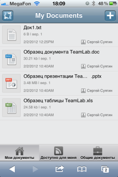 Мобильное управление рабочими процессами с помощью TeamLab
