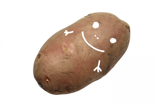 ИНФОГРАФИКА: 12 необычных способов использовать картофель
