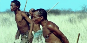 ВИДЕО: Как бегуны-охотники в Африке охотятся за антилопами куду