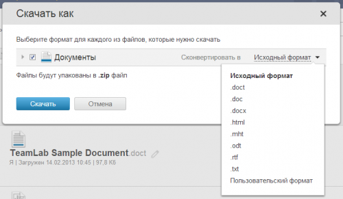 Teamlab Document Editor