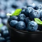 blueberry antioxidant