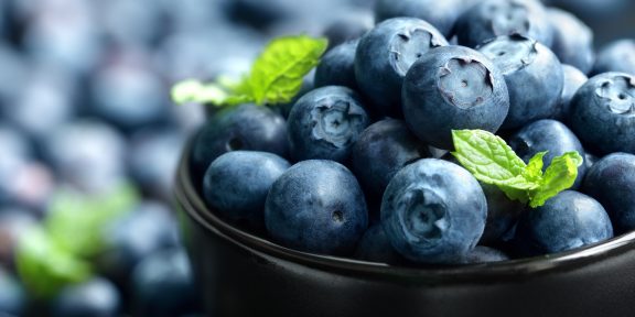 blueberry antioxidant