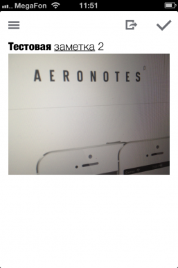Aeronotes