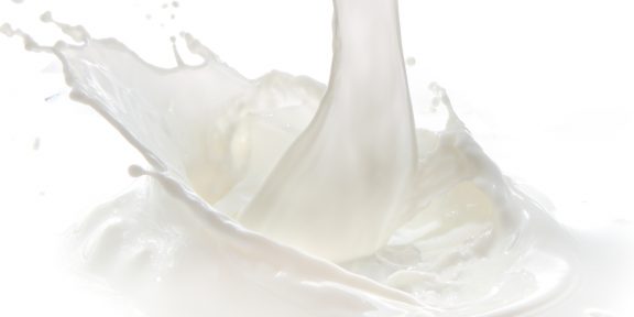 Почему можно не отказываться от коровьего молока?