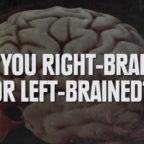Как определить, какое полушарие мозга у вас доминирующее — левое или правое