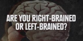 Как определить, какое полушарие мозга у вас доминирующее — левое или правое