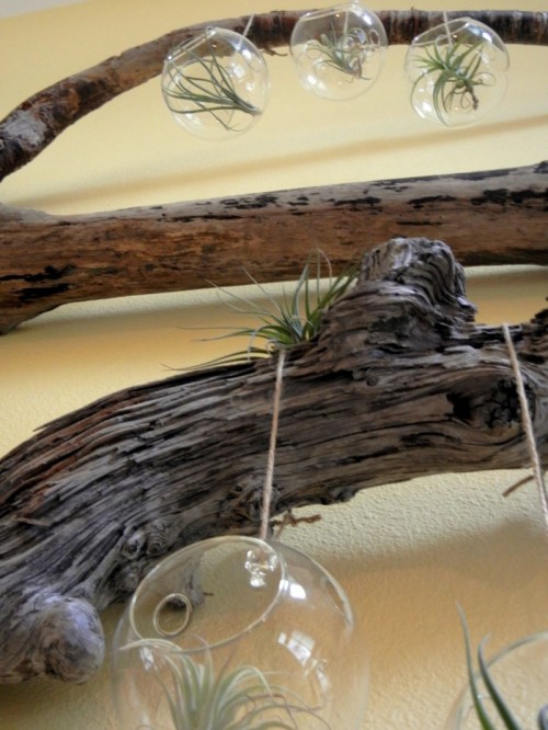 cool-driftwood-crafts-for-home-decor11