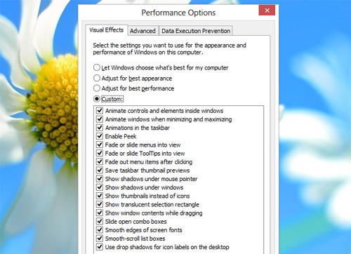 performance-options