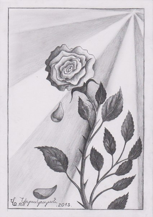 Роза, рисунок Врежа Киракосяна