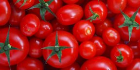 Почему помидоры нельзя хранить в холодильнике