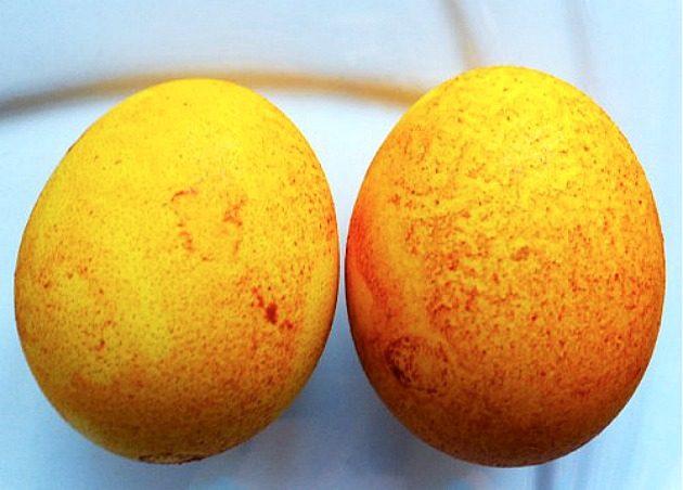 Кухонные лайфхаки: натуральные красители для яиц к Пасхе
