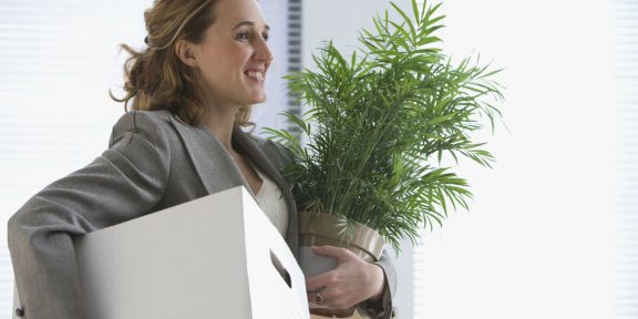 Почему дома и в офисе должны быть растения