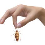 Как выгнать тараканов из головы? 4 простых шага!