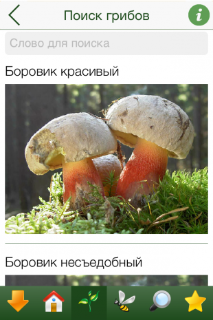 Ядовитые грибы в приложении отравление