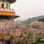 Как уехать учиться на Тайвань: личный опыт