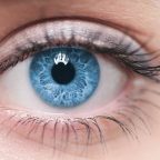 ИНФОГРАФИКА: Продукты, полезные для ваших глаз
