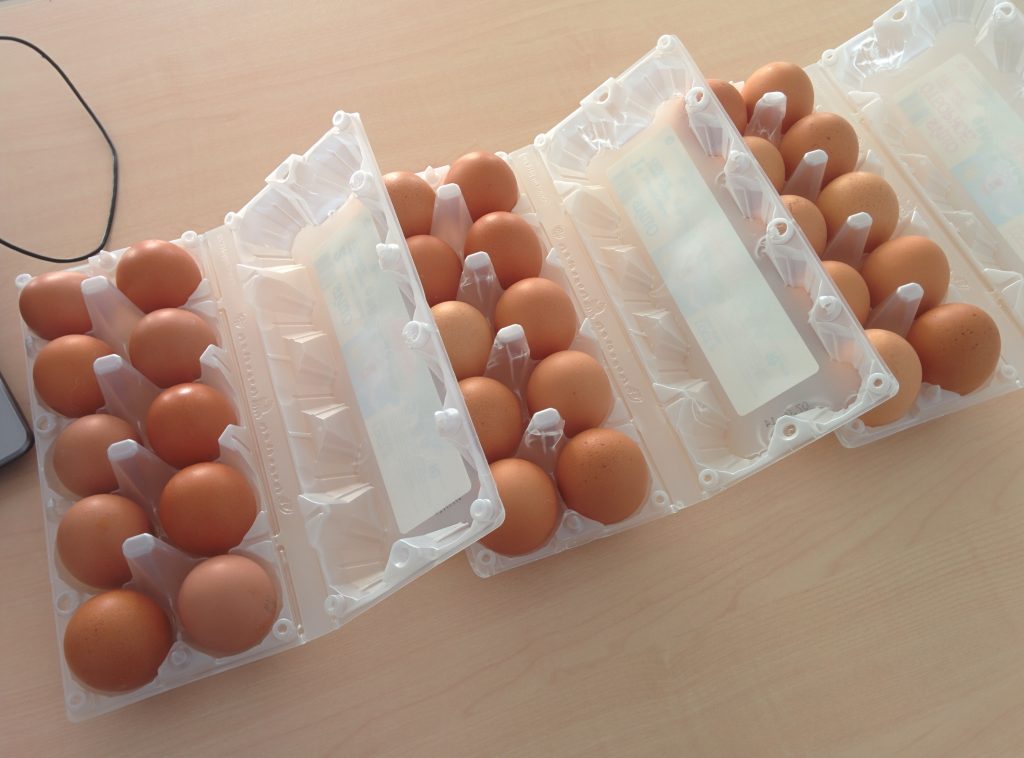 Какие яйца выгоднее покупать