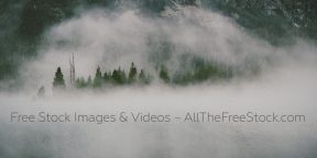 AllTheFreeStock — лучшие бесплатные фотостоки в одном сервисе