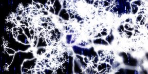 Составляя нейронную карту человеческого мозга