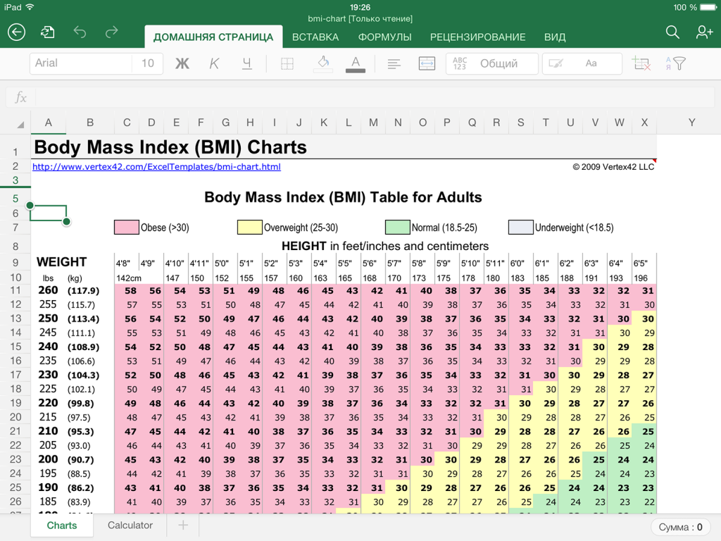 Excel-калькулятор расчёта индекса массы тела