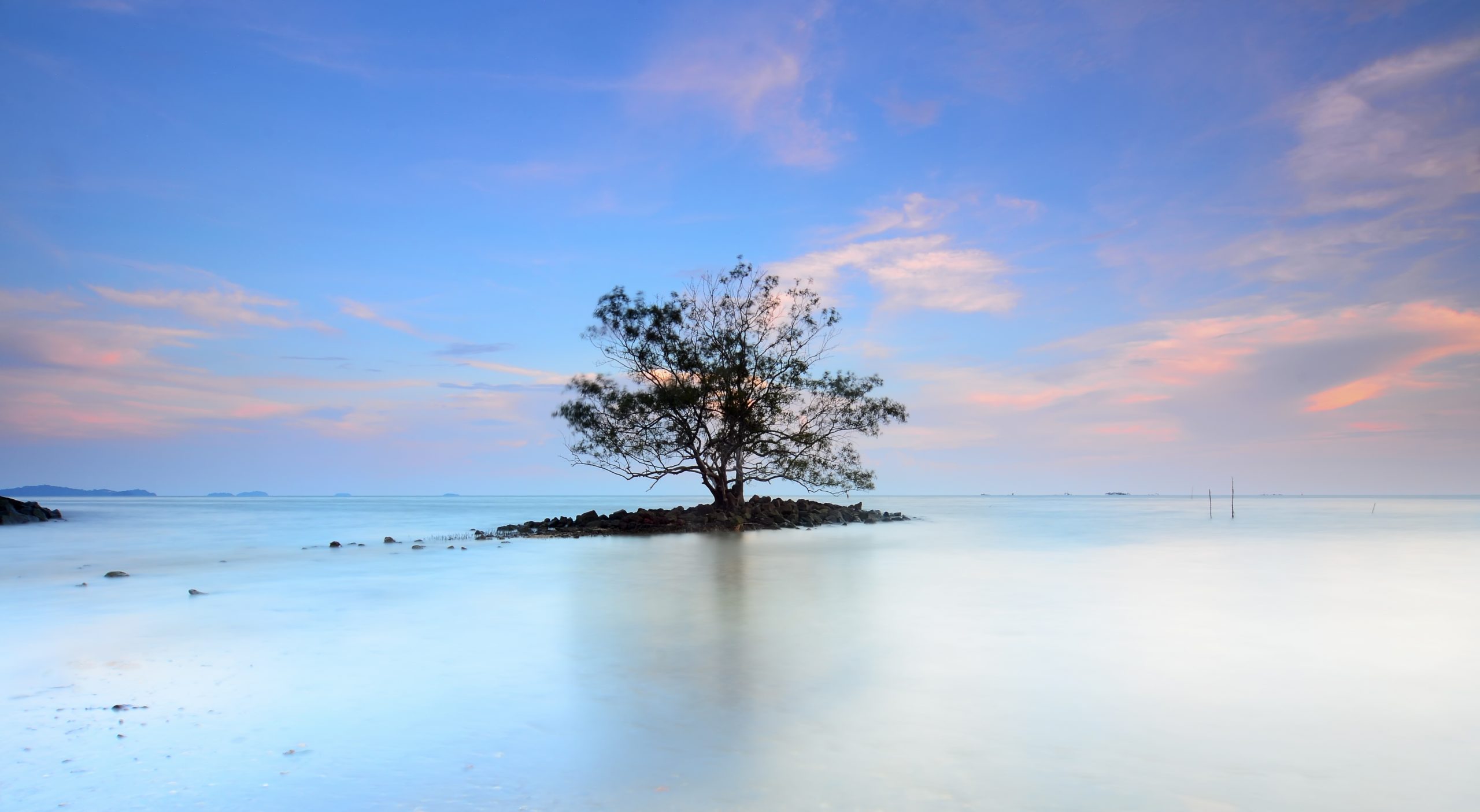 взять паузу