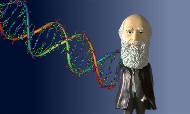 Coursera: Введение в генетику и эволюцию