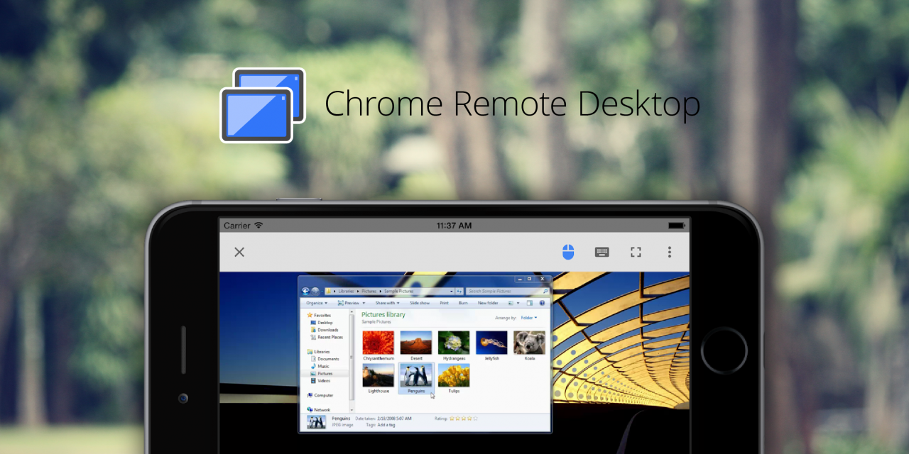 Chrome обзор. Chrome Remote desktop. Chrome Remote desktop PNG.