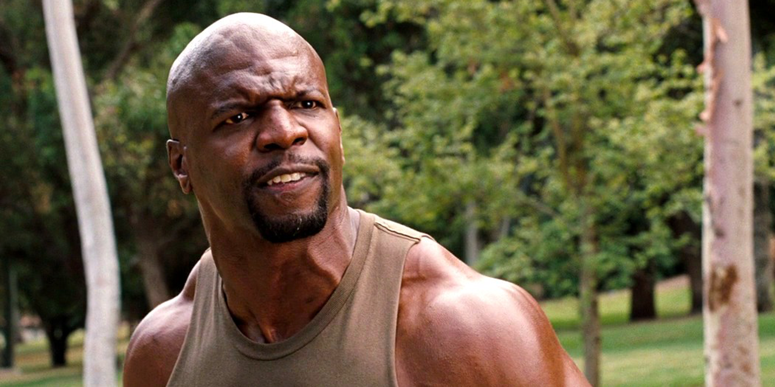 Что такое евротренировка