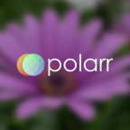 Polarr