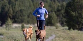 Приложение для бега WalkJogRun: новые маршруты, калькулятор темпа и тренировки для тех, кто хочет бегать с собакой