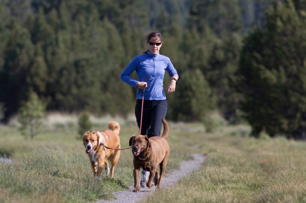 Приложение для бега WalkJogRun: новые маршруты, калькулятор темпа и тренировки для тех, кто хочет бегать с собакой
