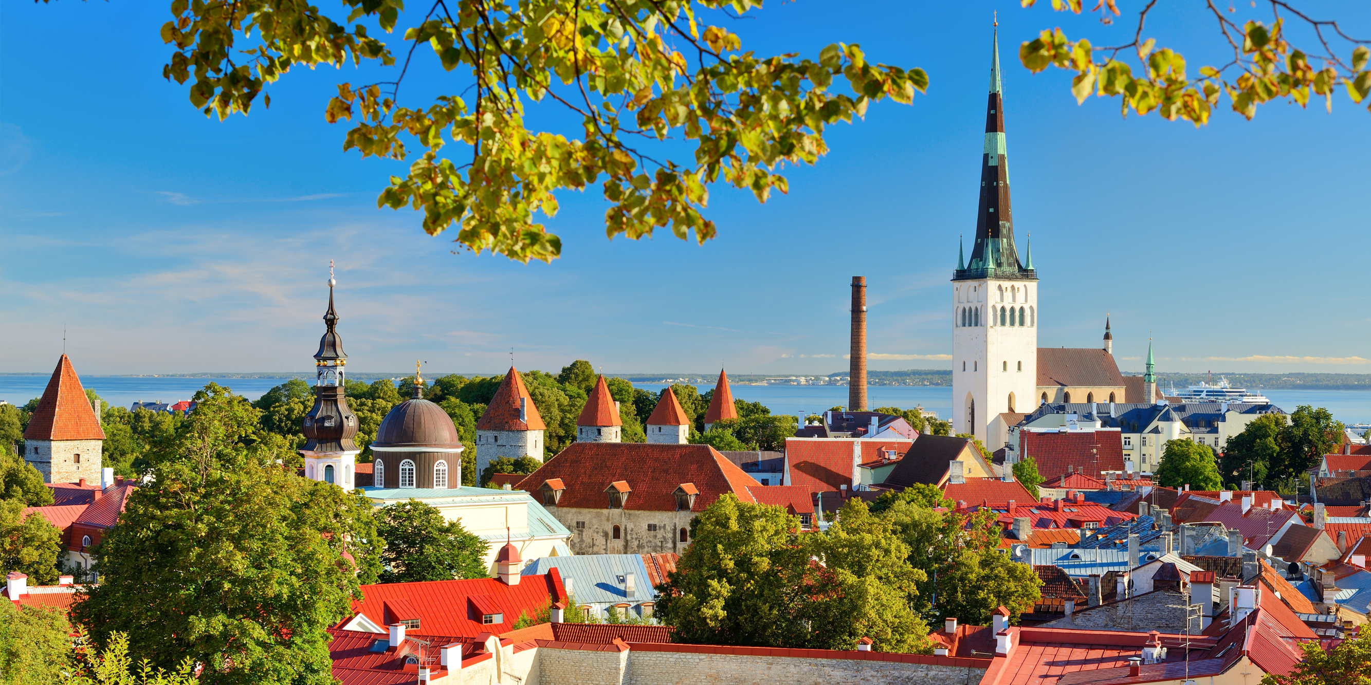 Почему стоит поехать в Эстонию