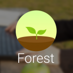 Forest поможет сконцентрироваться на работе и не отвлекаться на смартфон