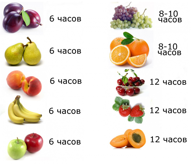 Сколько сушить фрукты