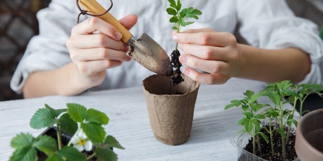 ������ �� �����������: ��� ��������� �����, ������ � ���� �������� � ���� ����