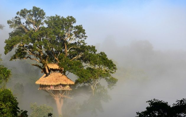 Bokeo Nature Reserve, Laos