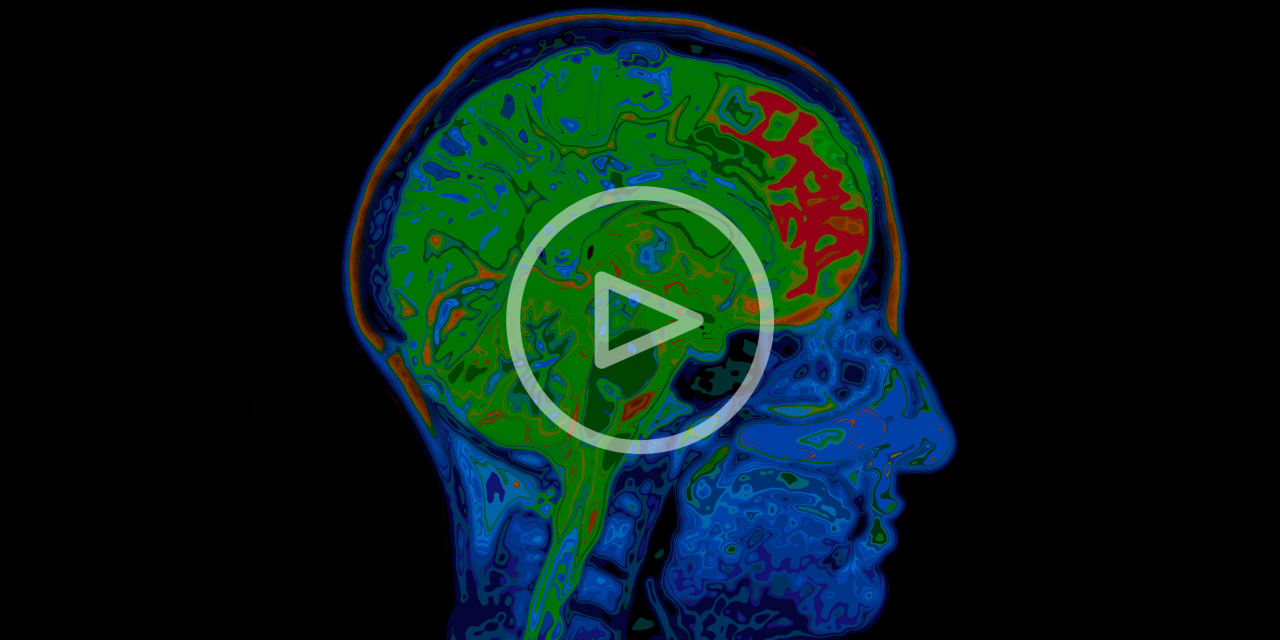 мозгом форумах. мозг обои. человеческий мозг картинки. мозг ребенка. лого вирус локдаун.