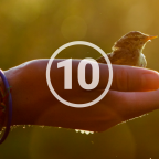 10 правил, которые должен помнить каждый экотурист