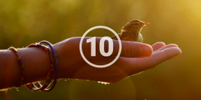 10 правил, которые должен помнить каждый экотурист