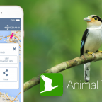 Animal Tracker — приложение, которое в будущем сможет заменить зоопарки