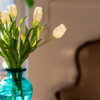 Что делать, чтобы тюльпаны, мимозы, розы и другие цветы простояли дольше